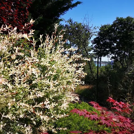 アパート Next To The Sea *